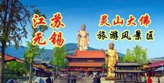 肏b江苏无锡灵山大佛旅游风景区